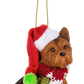 Santa Paws Dog Ornament