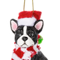 Santa Paws Dog Ornament
