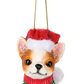Santa Paws Dog Ornament
