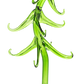 Twinkle Tilt Trees