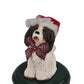 Assorted dog carollers