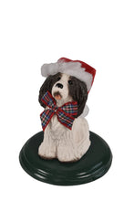 Load image into Gallery viewer, Assorted dog carollers
