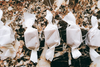 Caramel Bags
