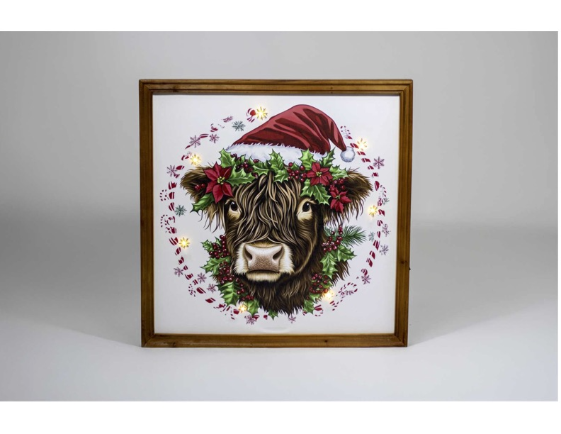 Lit Highland Cow Christmas Picture