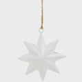 Shiny Multipoint Star Ornament
