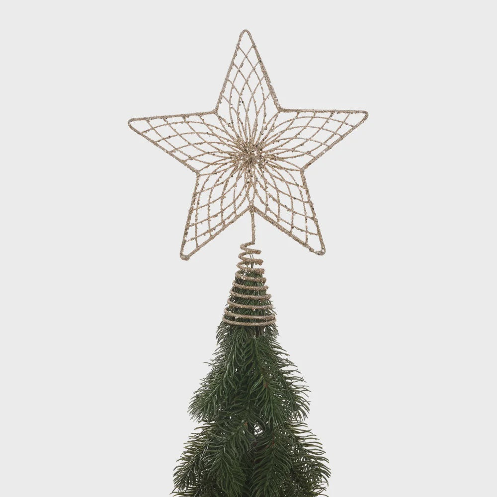 Champagne Gold Star Treetopper