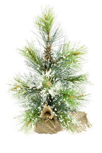 Icy Pine Tree with Burlap Base (12 in)