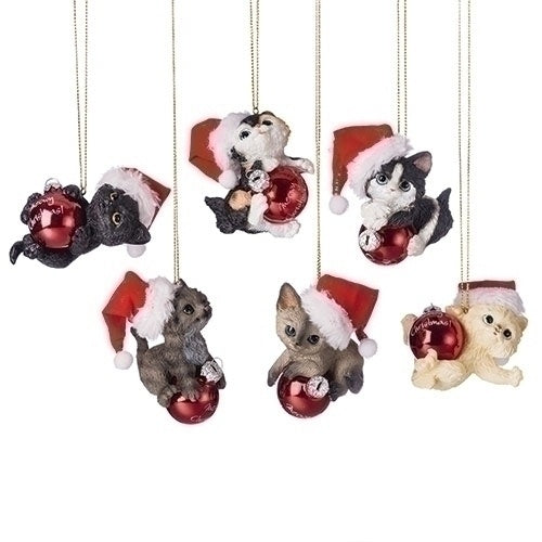 Santa Hat Cat w Ball Ornament