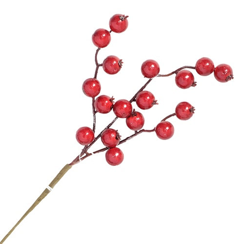 Large Berry Pick