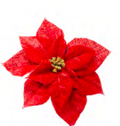Poinsettia Head 9" Red Burlap pick