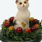 Assorted Cat Carollers