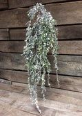 Cedar Hanging Pick w Berries - 2 styles