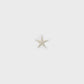Large White Metal Star