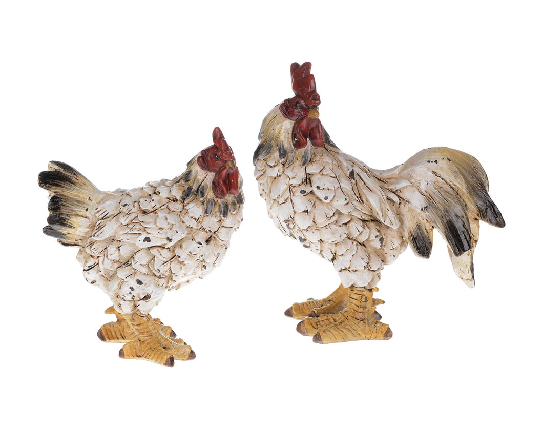 Country Rooster or Hen