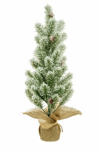 24"Fir Tree