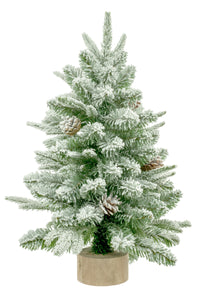 24" Mixed Evergreen Tree