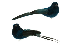 Bluebird Feather Clip