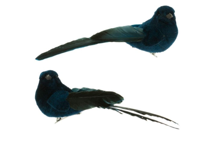 Bluebird Feather Clip