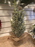 Snowy Pine Tree with Pinecones (17 in)