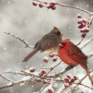 Winter Cardinal Napkins
