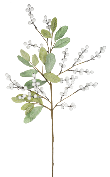 White Frosted Berry Pick