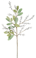 White Frosted Berry Pick