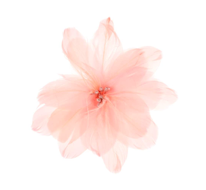 Pink Feather Clip