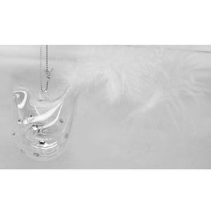 Clear Glass Bird Ornament