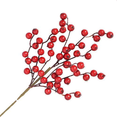 Rich Red Berry Pick