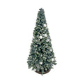 Bottlebrush Tree w White Berries
