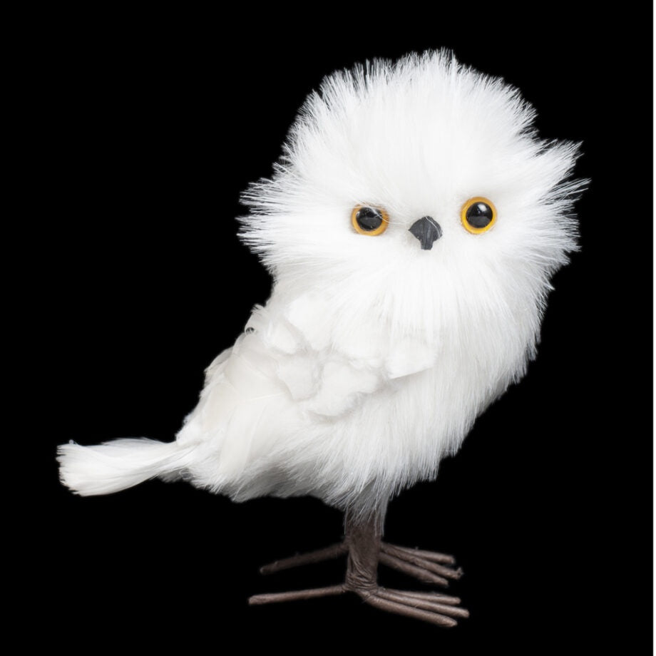 White Fluffy Owl