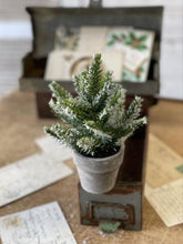 Load image into Gallery viewer, Icy Potted Tree
