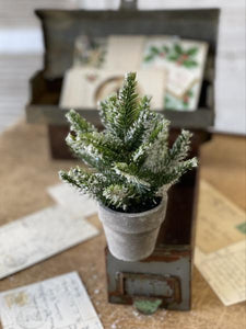 Icy Potted Tree