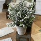 Icy Potted Tree