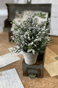 Icy Potted Tree