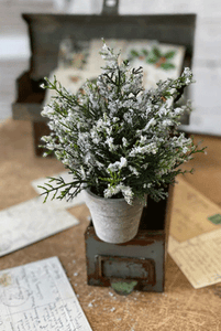 Icy Potted Tree