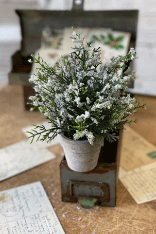 Icy Potted Tree