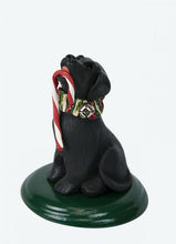 Load image into Gallery viewer, Assorted dog carollers
