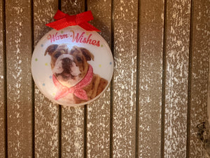 Furry friends ornament