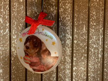Load image into Gallery viewer, Furry friends ornament
