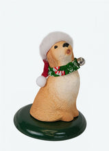 Load image into Gallery viewer, Assorted dog carollers
