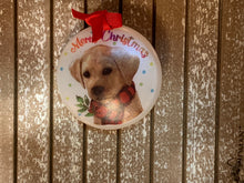 Load image into Gallery viewer, Furry friends ornament
