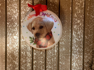 Furry friends ornament